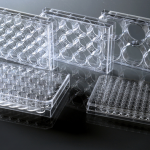 Cell Culture Plate