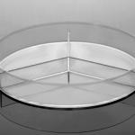 Petri Dish