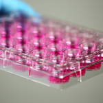 Cell Culture Plate