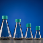 PC Erlenmeyer Flask, Baffled