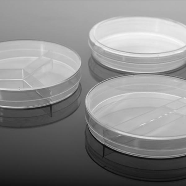 Petri Dish
