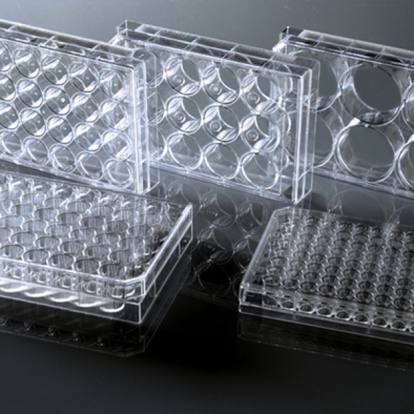 Cell Culture Plate